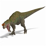 Allosaurus 08 A_0001